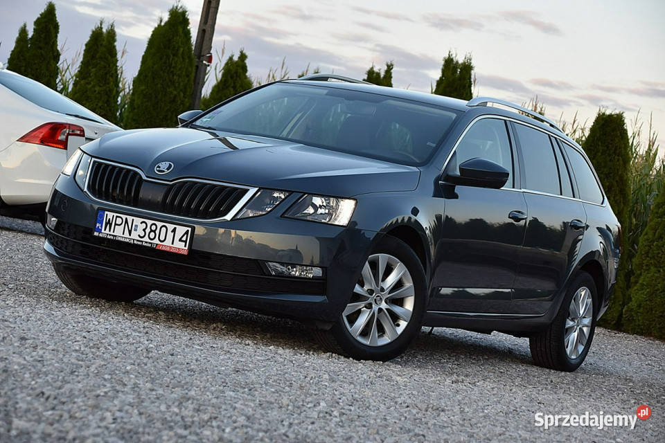 koda Octavia 16TDI 115 DSG Navi Led Półskóra Nowe Kucice
