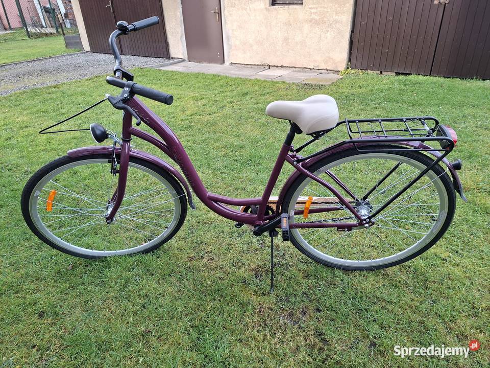 Rower miejski Storm Holland bike Amsterdam 28 1S Chybie