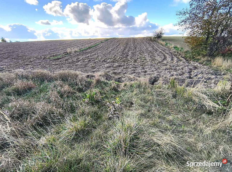 Działka 2841m2 Jakubowice Konińskie sprzedam
