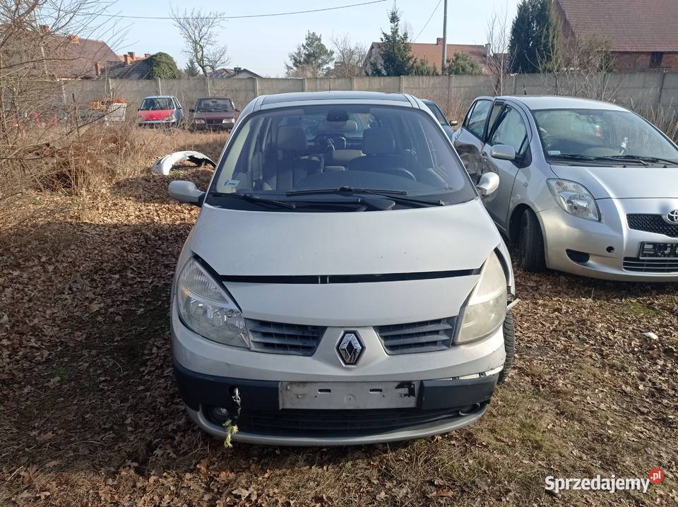 Renault Scenic 15 dCi 74 kW 2004 r dawca części Samochody na części Samochody na części Szklarka Myślniewska