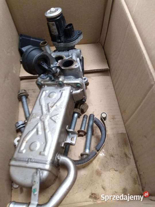 ZAWÓR EGR VW AUDI SEAT 16TDI 20TDI 03L131512DQ podkarpackie Pilzno