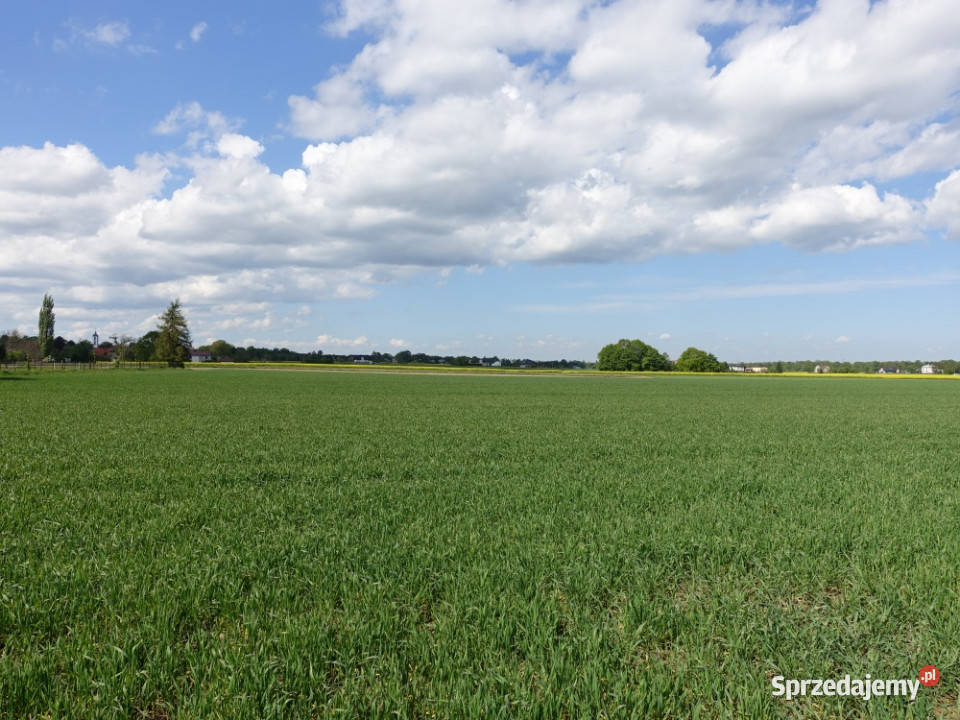 Skoczów Pruchna 115ha w samym centrum pod śląskie sprzedam