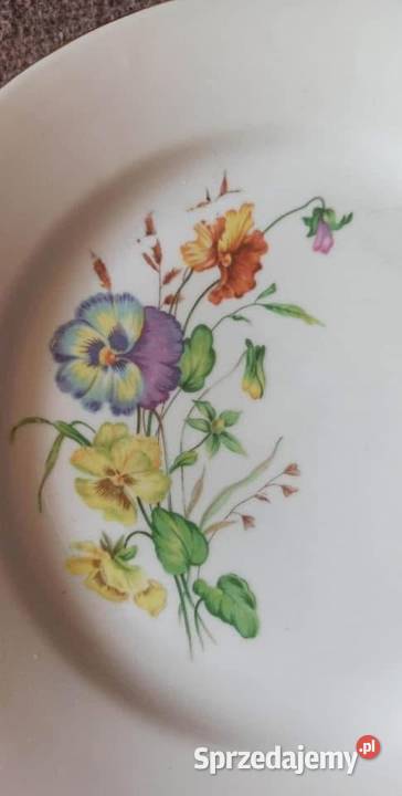 Talerze do drugiego dania 9 sztuk Syg Kahla Porcelana i szkło pomorskie Gdańsk