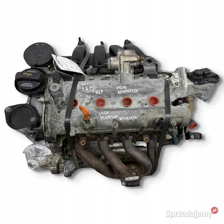 SILNIK BLF Audi A3 II 8P Skoda Octavia II 16 FSI osobowe lubelskie Chełm