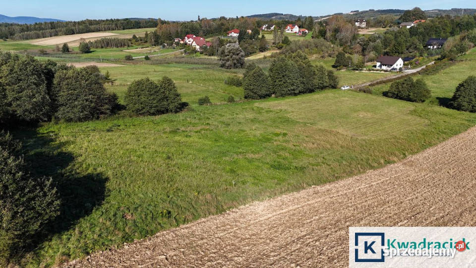 Działka Sieklówka 12304m2 12304m2