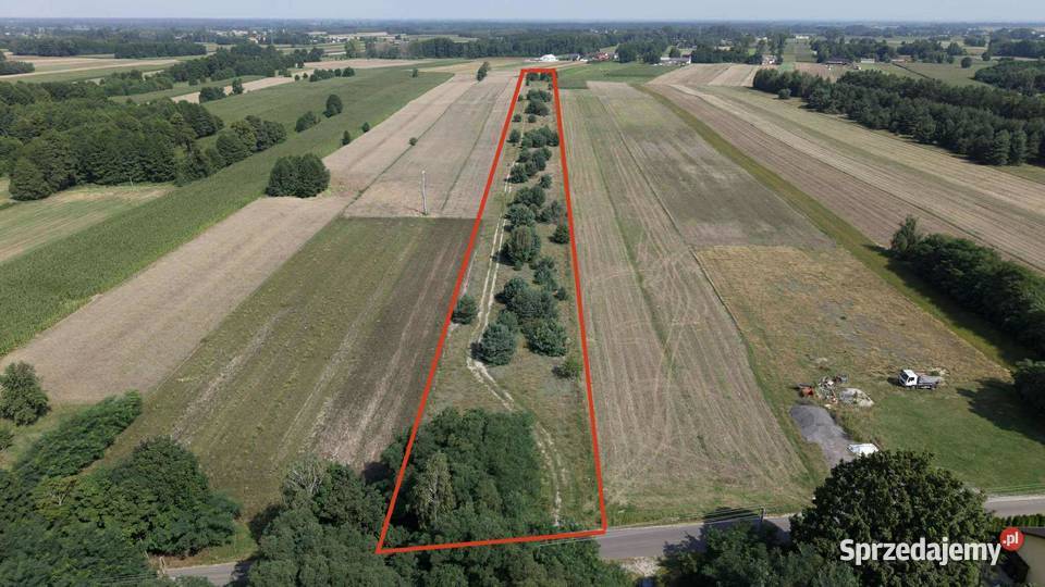 DZIAŁKA ROLNO BUDOWLANA 13500m 121500 Sprzedaż Mrowiczna