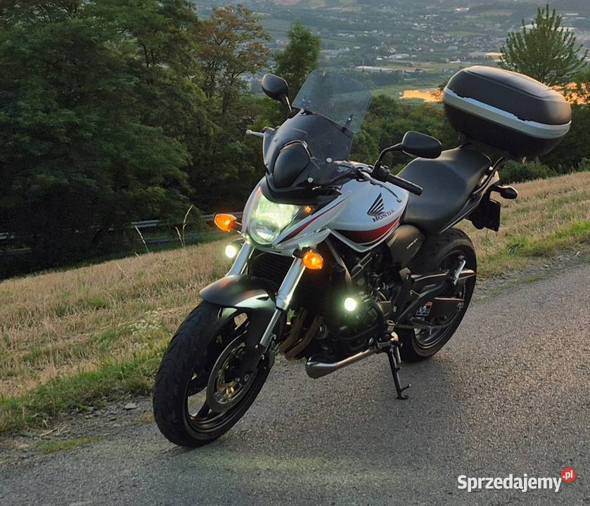 honda hornet 600 52000km Ropczyce