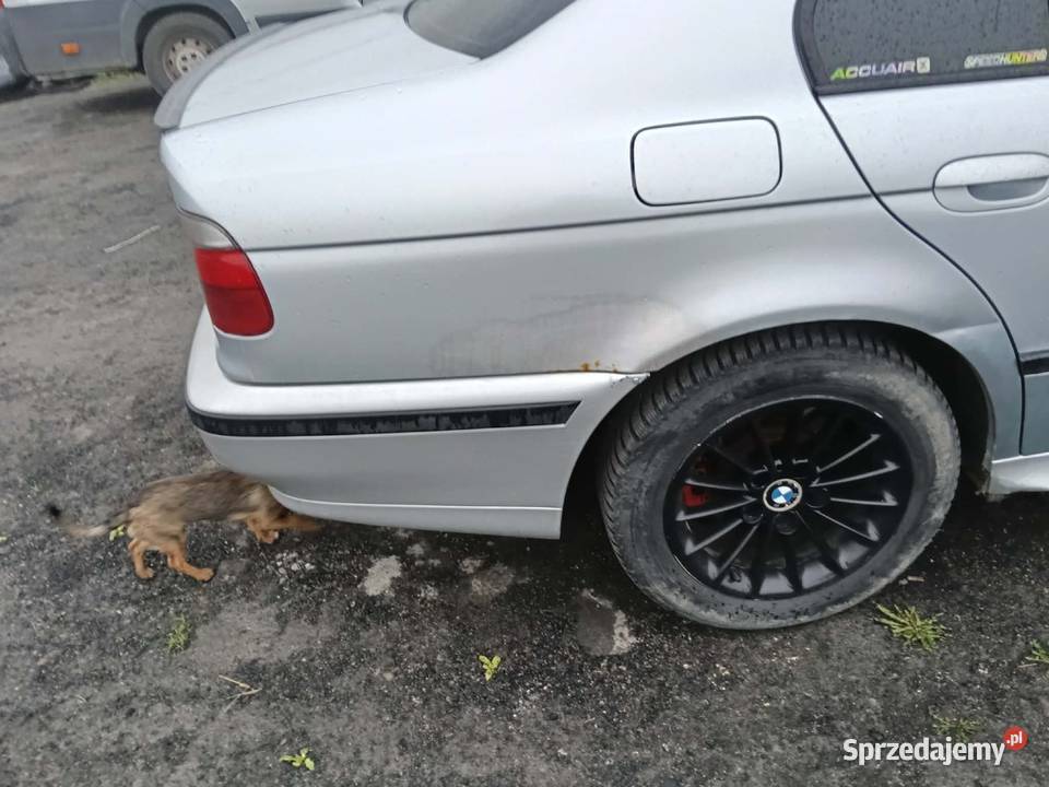 BMW e39 sprzedaż pomorskie