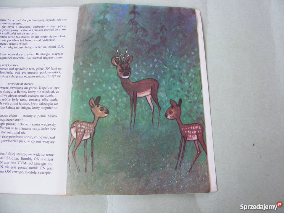 Bambi Przygody Filonka Bezogonka Autobus ogromny Oborniki Śląskie