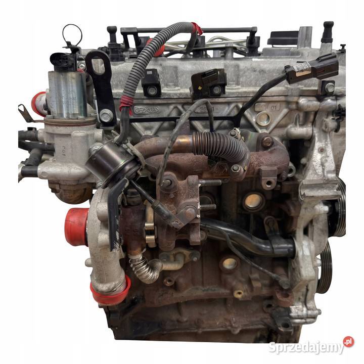 SILNIK D3FA Hyundai i10 i20 Kia Rio III Picanto Chełm