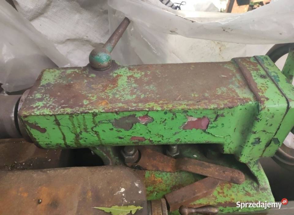 Konik tokarski tud 50 warmińsko-mazurskie Kętrzyn