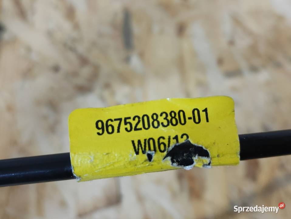 Zawias Zawiasy Klapy Bagażnika Citroen C Elysee Pleszew