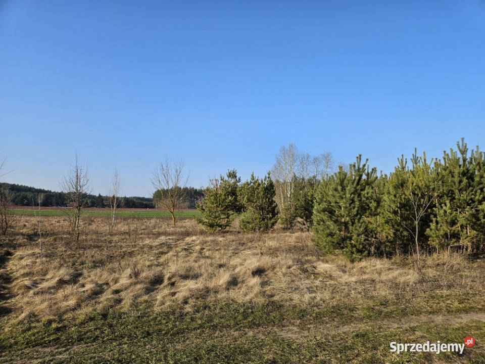 Działka rekreacyjna 1500m rekreacyjna Stary Strachocin