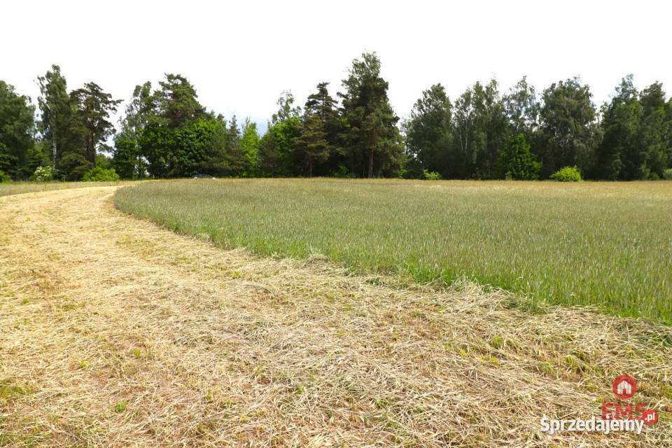 Działka do sprzedania 55000m2 Garbas Drugi 55000m2 Sprzedaż