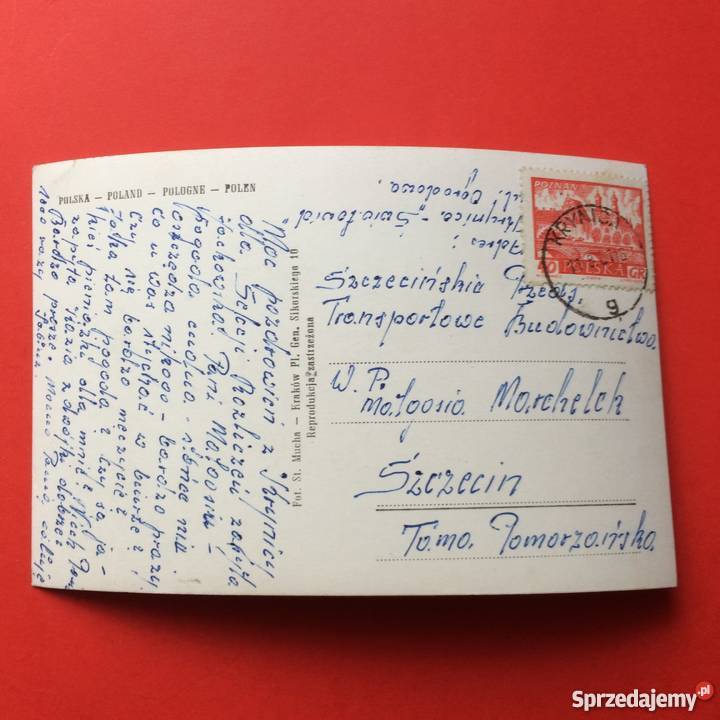 966 Widokówka Krynica Szczecin