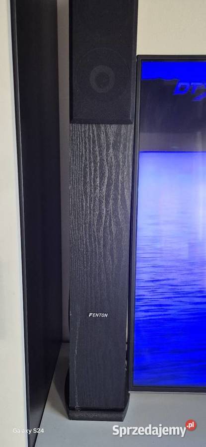 Pioneer Blue Line Łebcz sprzedam