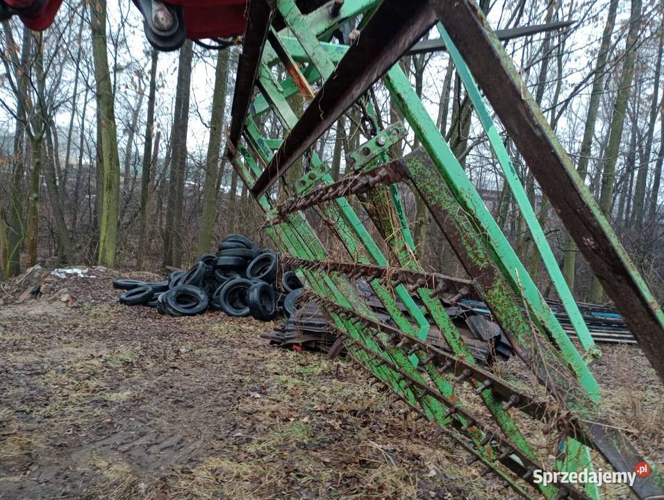 Brona Łąkowa Olesno