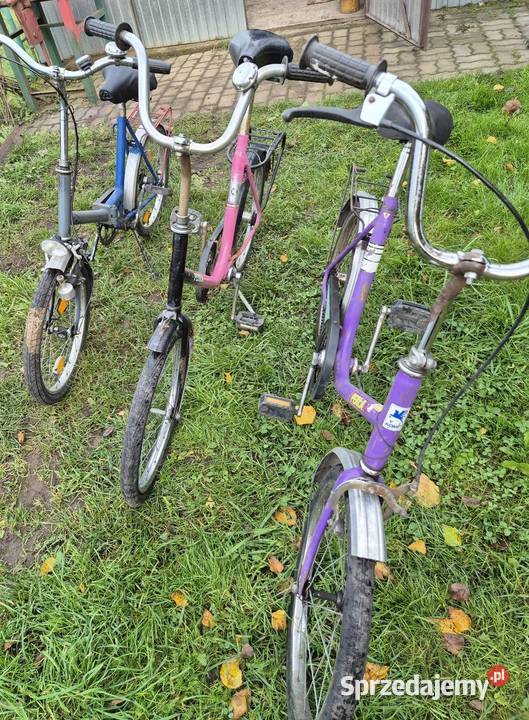 Składak Perła Wigry wielkopolskie