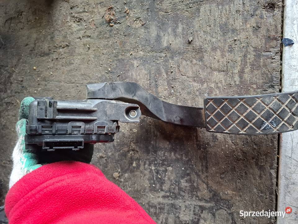 Potencjometr Gazu Volkswagen Passat B5 19 Wisznice