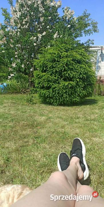 Działka ROD NEPTUN Szosa Polska Szczecin