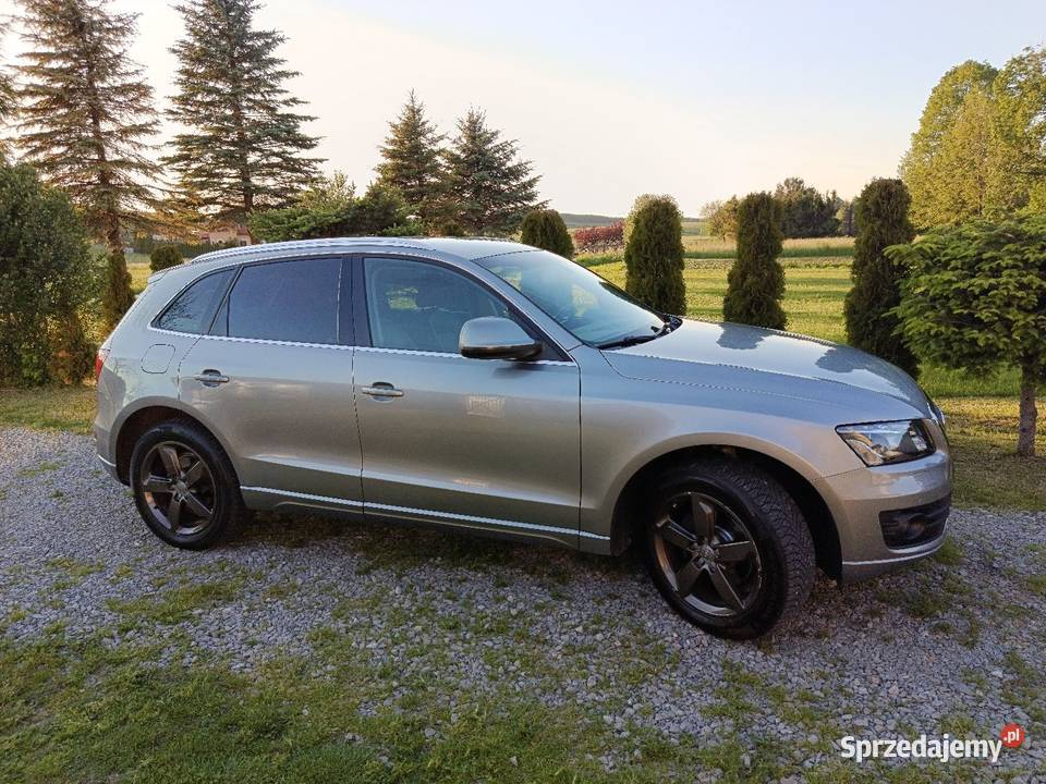 Audi Q5 nieuszkodzony Pielnia sprzedam