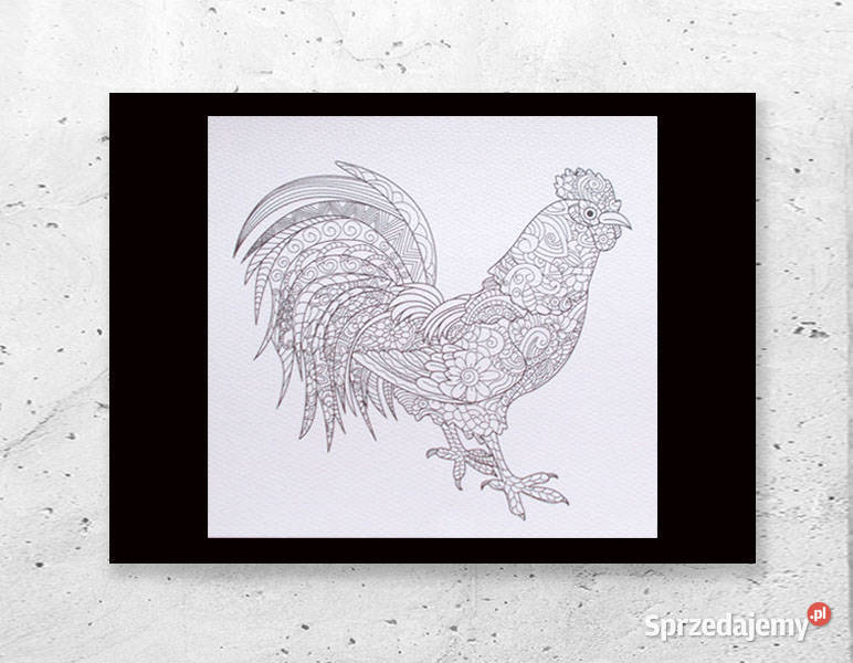 kogut plakat biało czarny mały plakat z kogutem Olsztyn