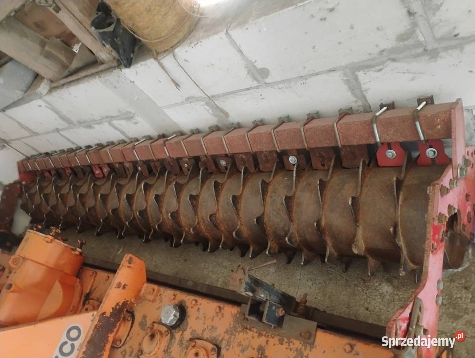 Brona aktywna 3m kujawsko-pomorskie Plesewo