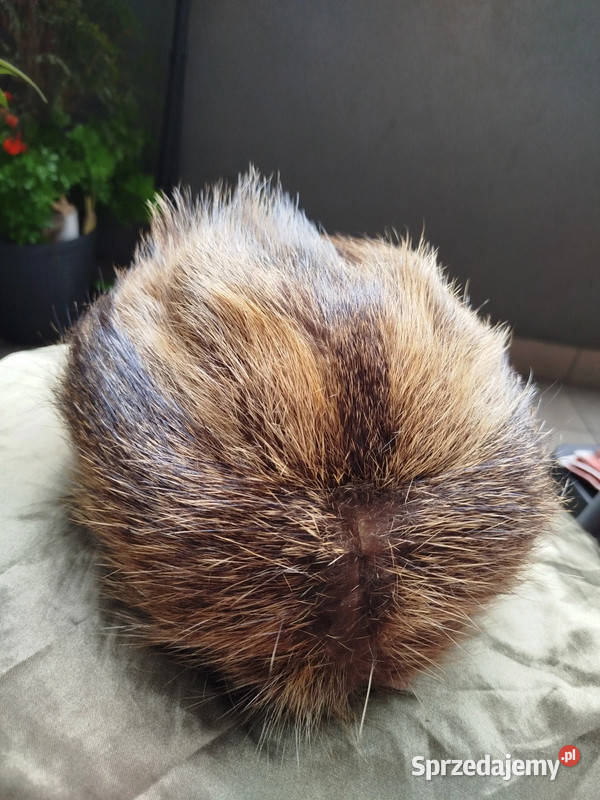 Czapka z futra z nutrii naturalne futro Poznań