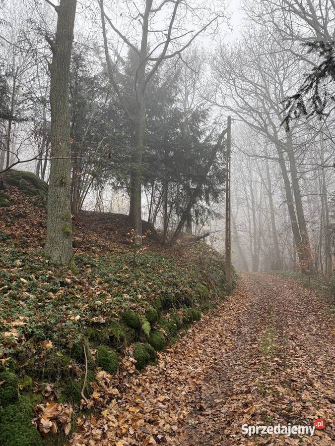 Na sprzedaż wyjątkowa działka 194 ha z domkiem Stoszowice