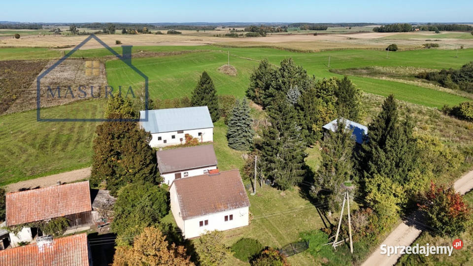 Siedlisko na sprzedaż Mikołajek niecałe 8 Woźnice
