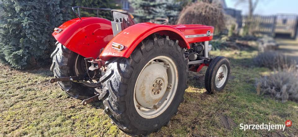 Massey Ferguson 135 ursus 28123512MF255235 łódzkie Sieradz sprzedam