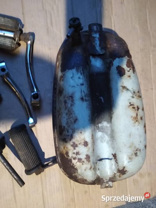 Żak ryś komar Pedał owiec pozostałość Pozostałe kujawsko-pomorskie Kruszwica sprzedam