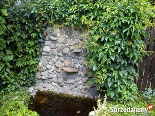 działka ROD Energetyk 1 Poznań Wincentego 1 utwardzona Grunty i działki Poznań