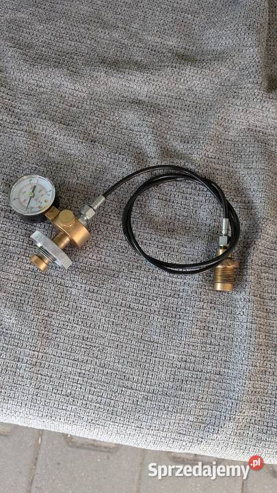 Przetoczka Grodzisk Wielkopolski