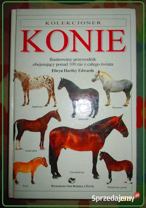 KONIE - E.H.Edwards / konie, hodowla, rasy / zwierzęta