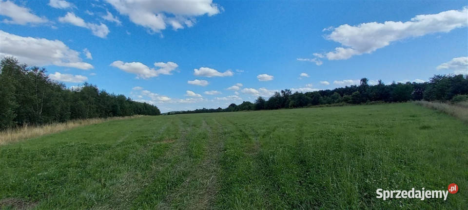 Działki w Cieszowie polna Cieszów