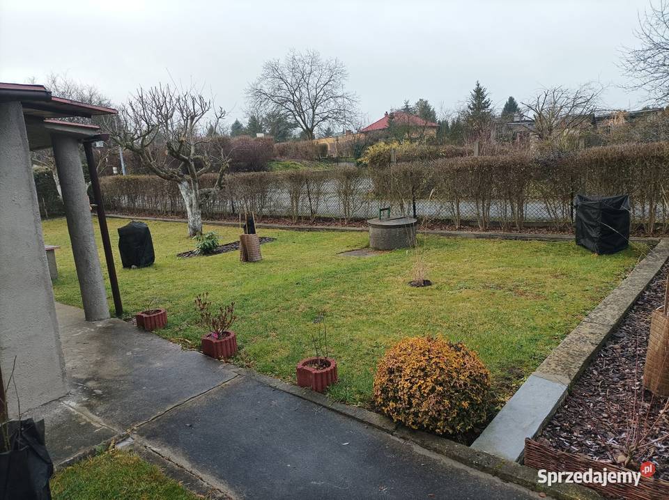 Działka rekreacyjna 1go Maja w Gliwicach siatka śląskie Knurów