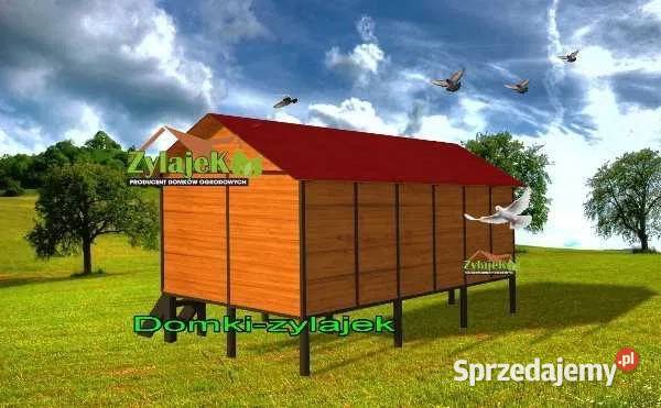 Gołębnik solidna konstrukcja wysyłka 250 800 Korczyna