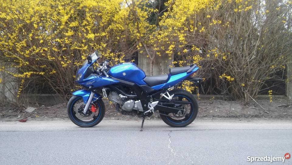 Suzuki sv650 s ładna Motocykle i skutery Warszawa