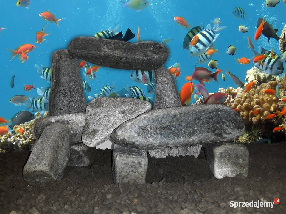 Najpiękniejszy kamień ozdobny do akwarium FISH Rybnik sprzedam
