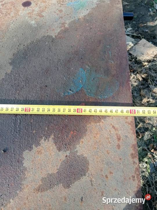 Heblarka grubościówka Wielkolas