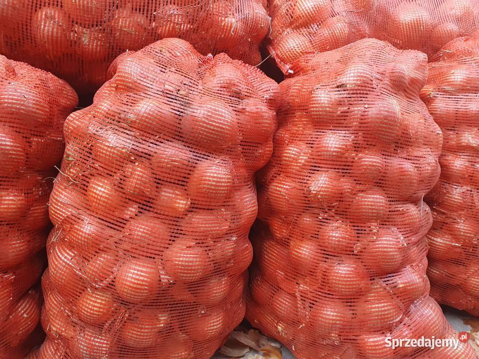 Sprzedam cebulę Grójec