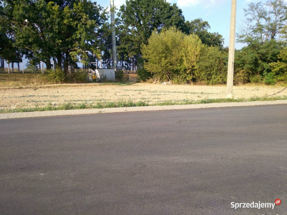 Doskonałe miejsce na biznes Stasin