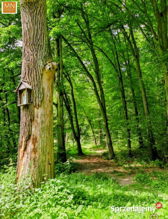 Grunt 1016m2 Marszowice małopolskie