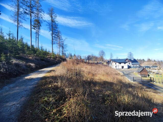 sprzedaży gruntu 1608m2 Sosnówka