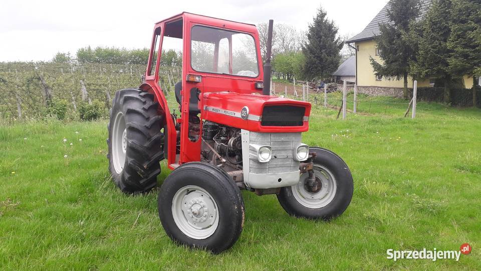 Massey Ferguson 135 S stan Bogoria