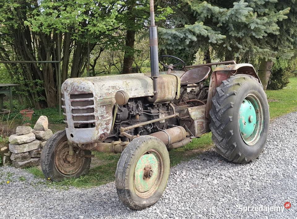 Tanio URSUS 4011 Sandomierz