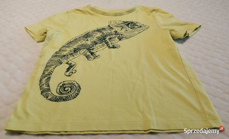 Koszulka krótki rękaw Tshirt żółta kameleon 104 Czeladź