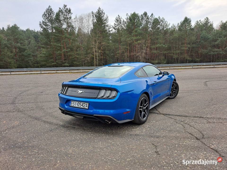 Ford Mustang 23 ecoboost benzyna Lasek