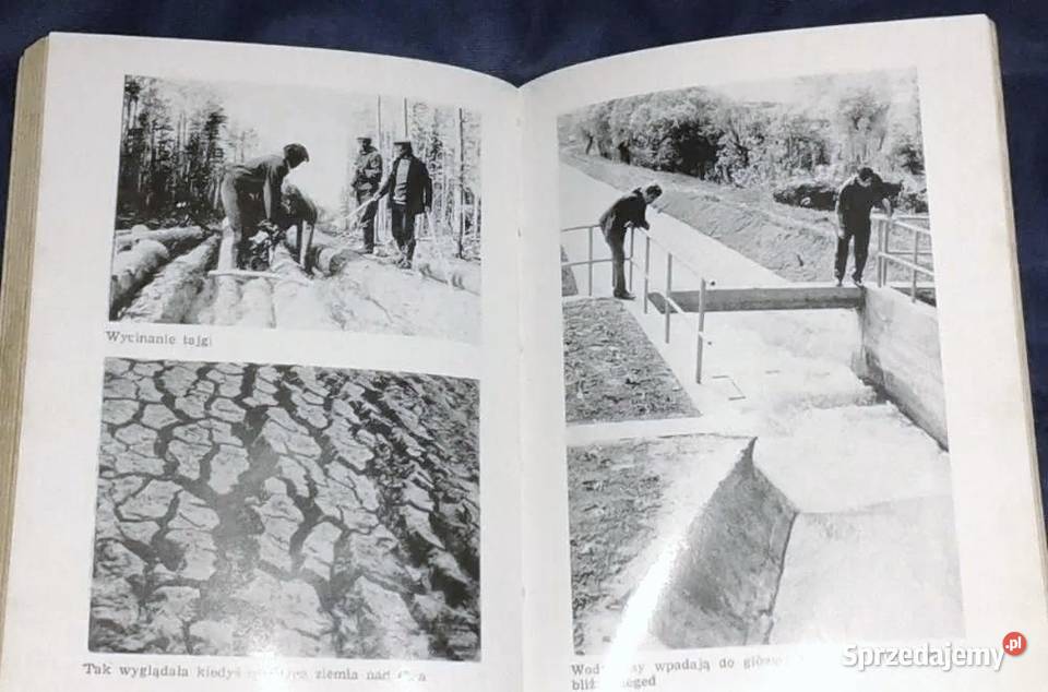 Dalej niż jutro Olgierd Budrewicz Pozostałe Chełm